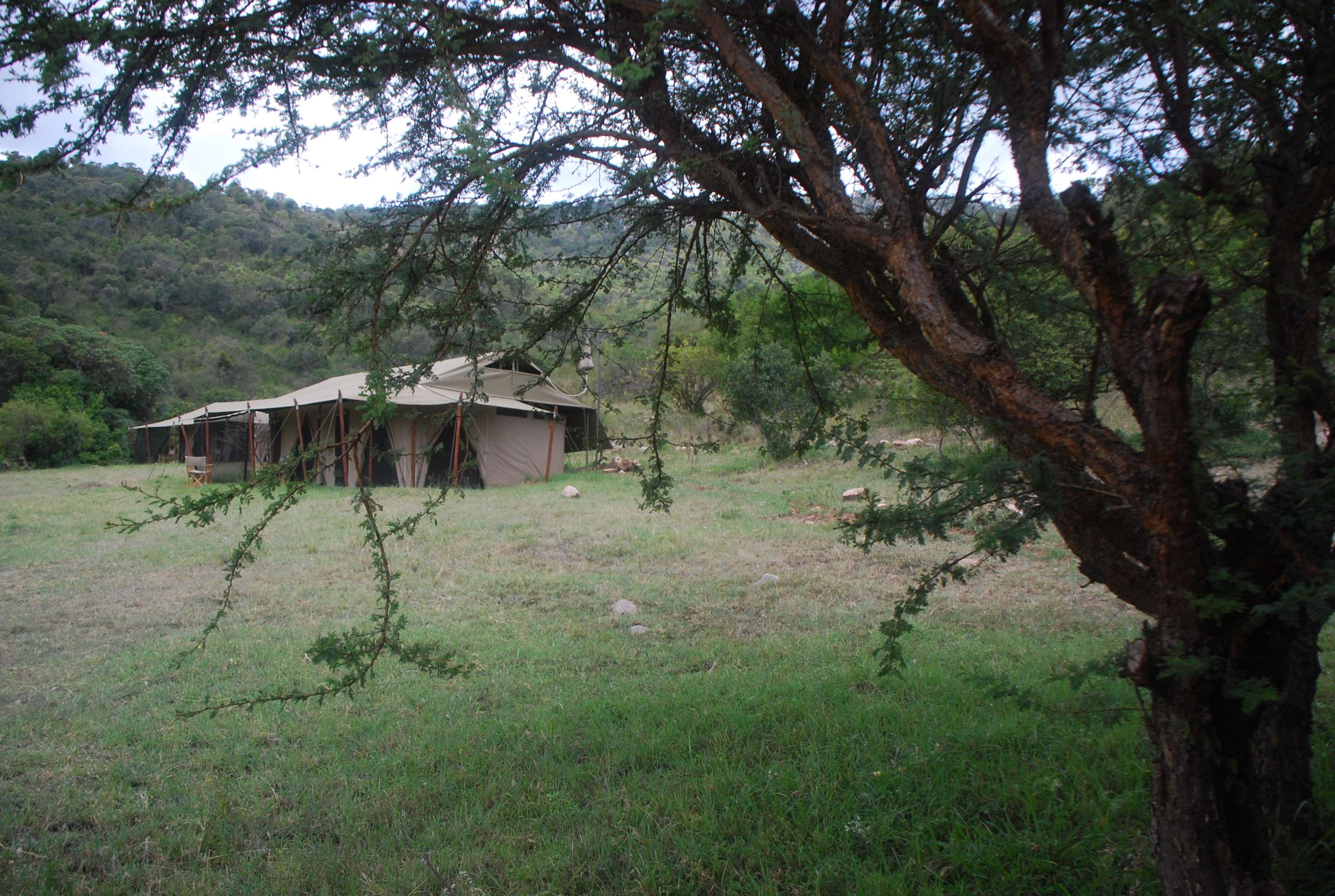 Enkewa Tented Camp - Masai Mara, Camping-Kenia (1)